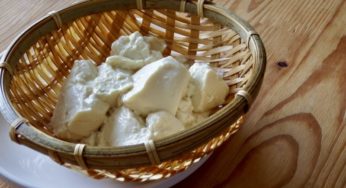 豆乳から作る！ざる豆腐