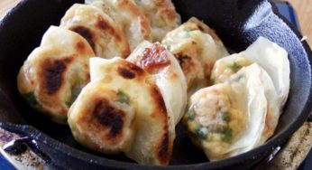 ネギたっぷり豆腐キムチの一口餃子