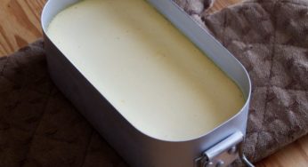 とろとろカスタード豆腐プリン